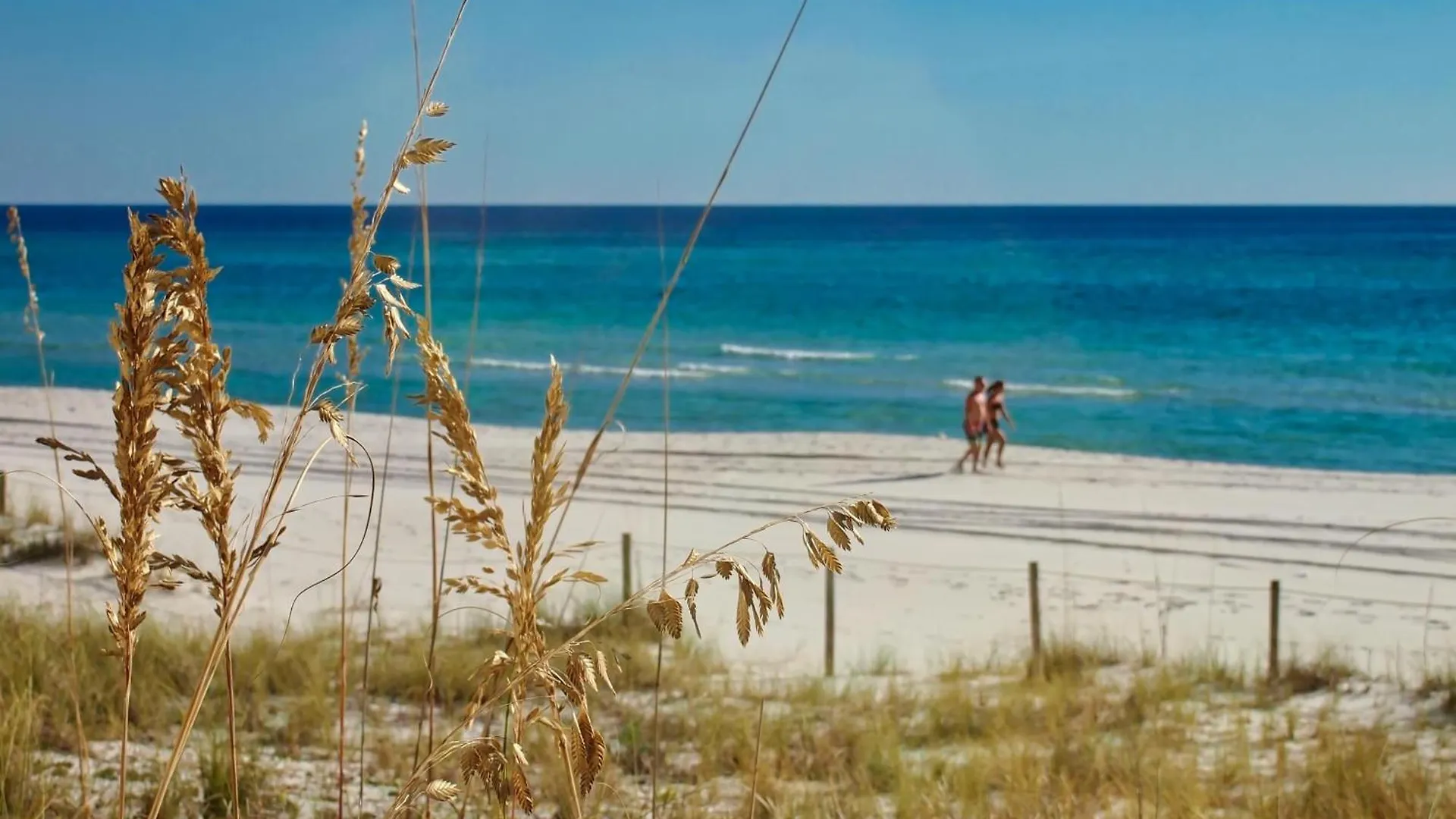 Ocean Reef 1907 Βίλα Panama City Beach 0*,
